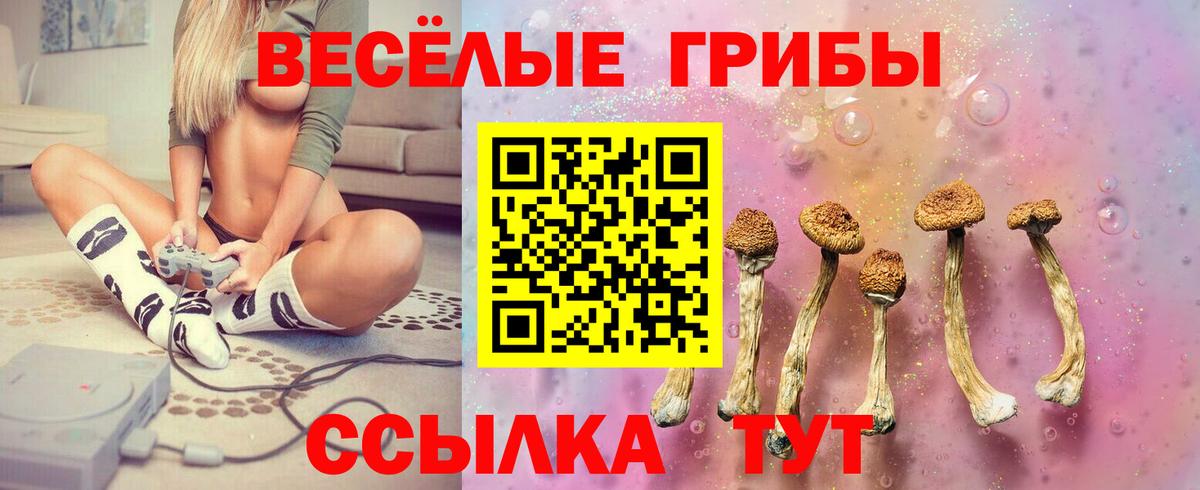 Галлюциногенные грибы Psilocybe  Вход с VPN  Псилоцибиновые грибы Psilocybe  Прохладный 
