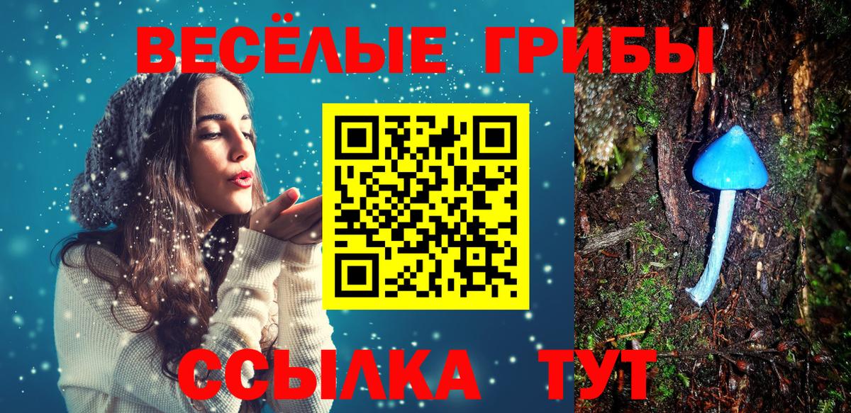 Псилоцибиновые грибы ЛСД Прохладный