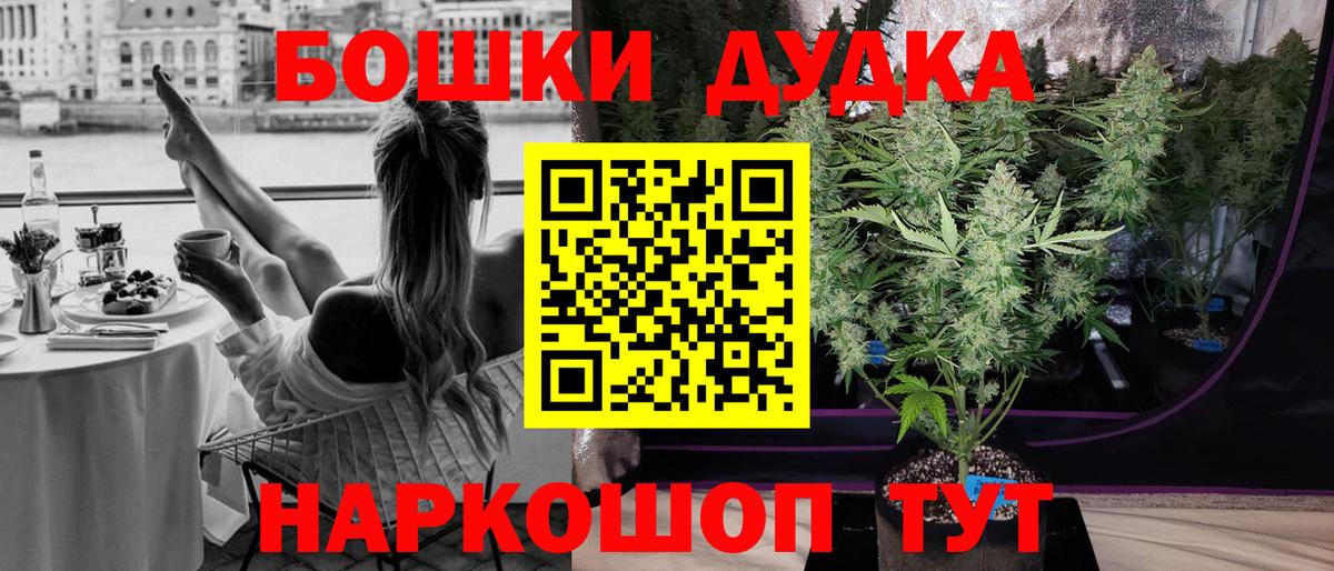 Бошки марихуана SATIVA & INDICA Прохладный